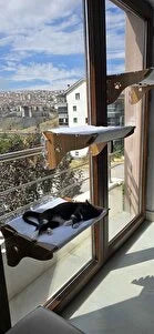 Pencere önünde kedi yatakları