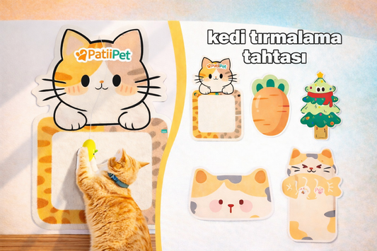 PatiliPet | Kedi Tırmalama Tahtası