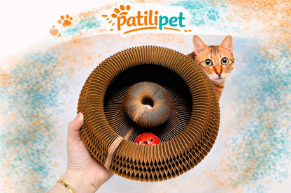 PatiliPet | Akıllı Tırmalama ve Oyun Yatağı