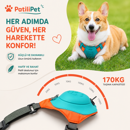 Patilipet | Reflektörlü Köpek Göğüs Tasması