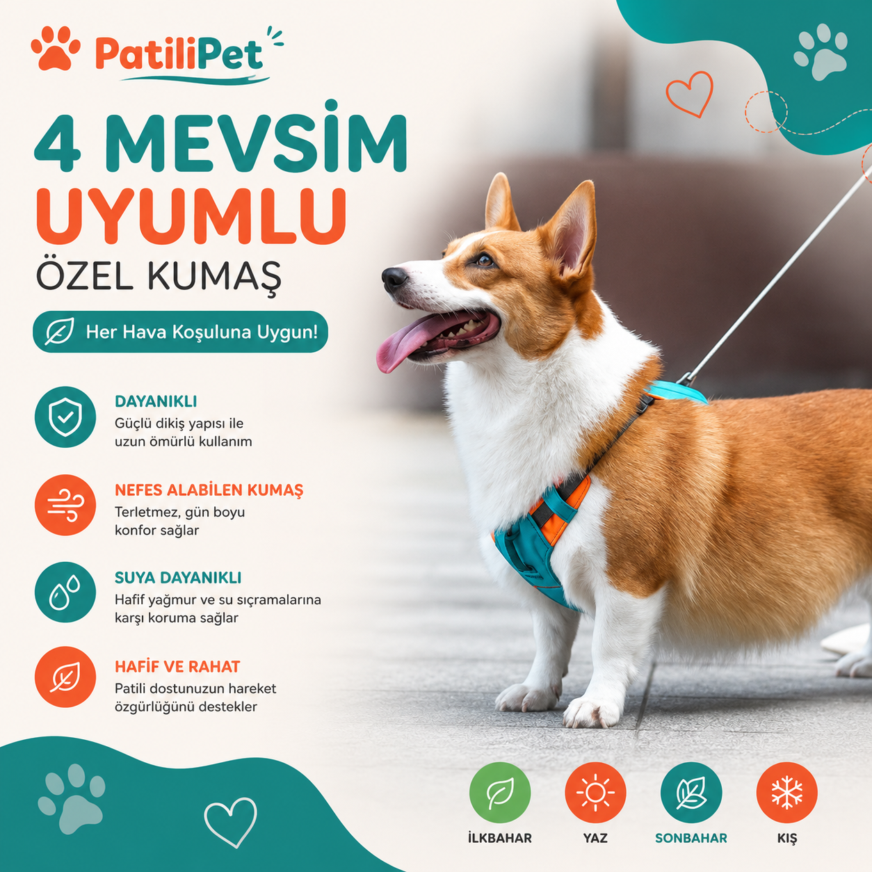 Patilipet | Reflektörlü Köpek Göğüs Tasması