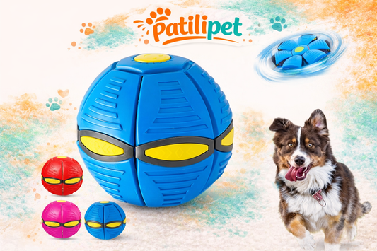 PatiliPet | Işıklı Zıplayan Frizbi Evcil Hayvan Topu