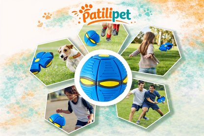PatiliPet | Işıklı Zıplayan Frizbi Evcil Hayvan Topu