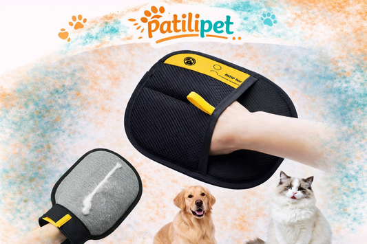 PatiliPet | Tüy Toplayıcı Eldiven