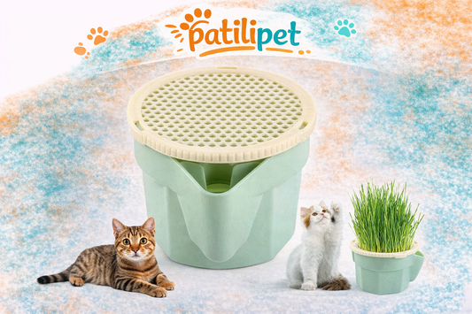 PatiliPet | Kedi Çimi Topraksız Suda Yetiştirme Kiti