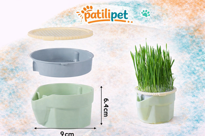 PatiliPet | Kedi Çimi Topraksız Suda Yetiştirme Kiti