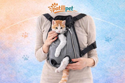 PatiliPet | Ana Kucağı Kedi-Köpek Taşıma Çantası