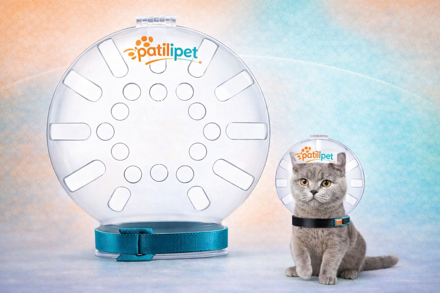 PatiliPet | Ayarlanabilir Kedi Bakım Kafalığı