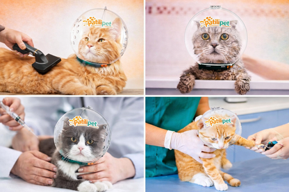 PatiliPet | Ayarlanabilir Kedi Bakım Kafalığı