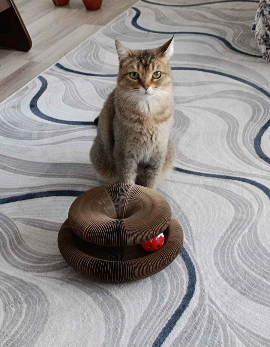 Pati dostlarınızın fotoğraflarını bizimle paylaşın.
