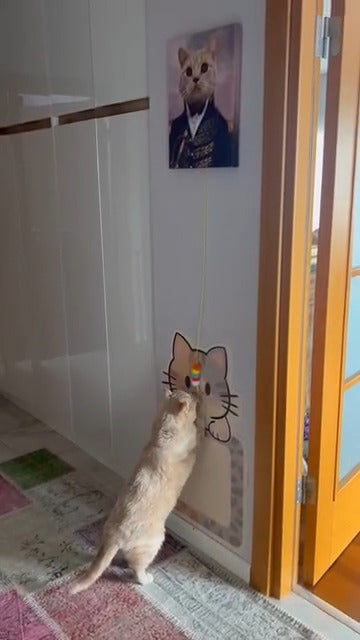 Pati dostlarınızın fotoğraflarını bizimle paylaşın.